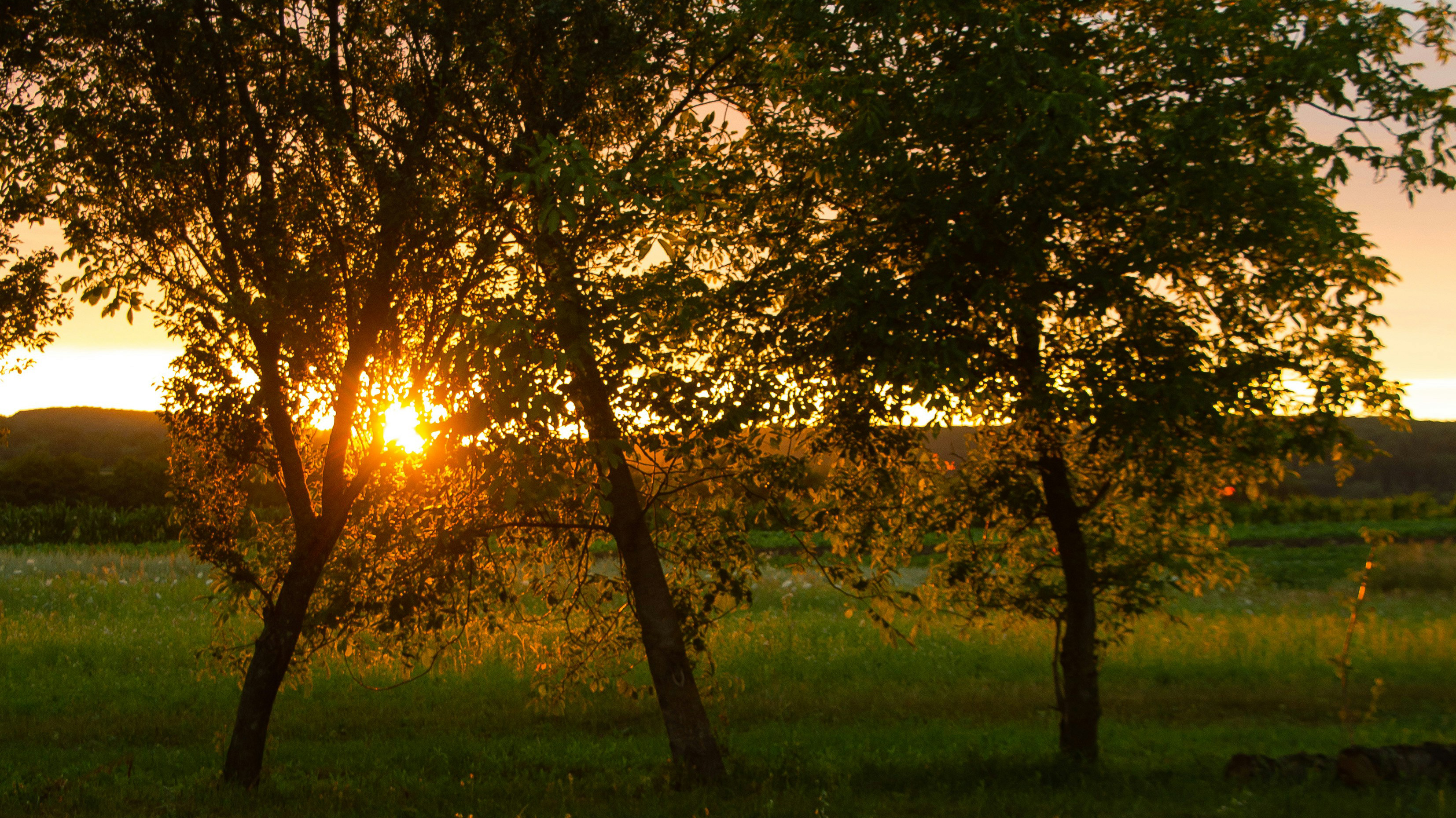 Choosing the Right Lot for Your New Home